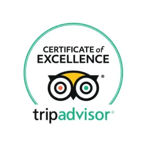 Patients consistently praise Healing Hands on TripAdvisor for our effective treatments, professional staff, and warm, welcoming atmosphere.