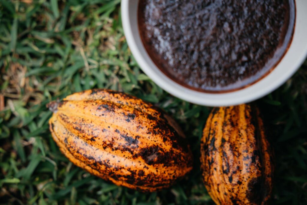 Chocolate Pedicure at Healing Hands – Physical Therapy, Therapeutic Massages and Spa in Antigua Guatemala