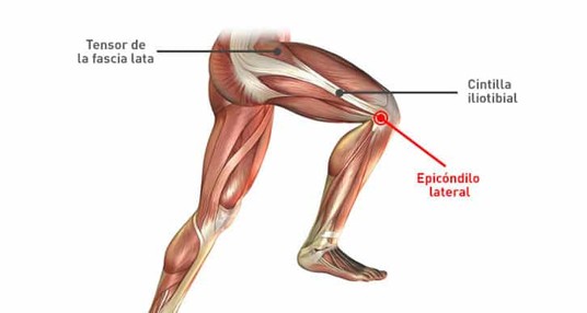 Anatomía de la Banda Iliotibial y Músculo Tensor de la Fascia Lata
